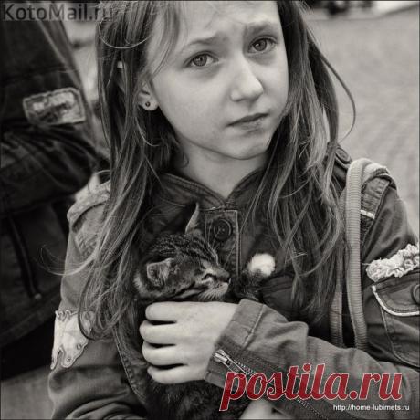 Я завела себе котёнка