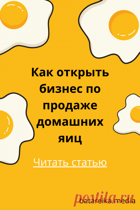 На домашние куриные яйца большой спрос в городах. Посчитаем, есть ли смысл заняться бизнесом по продаже яиц и сколько на этом можно заработать.