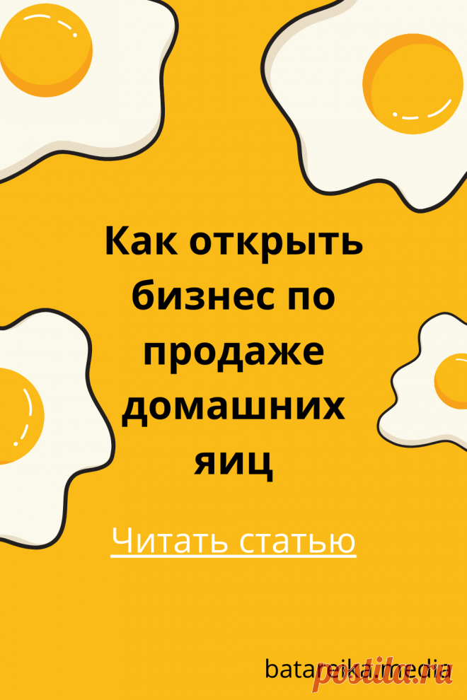 На домашние куриные яйца большой спрос в городах. Посчитаем, есть ли смысл заняться бизнесом по продаже яиц и сколько на этом можно заработать.