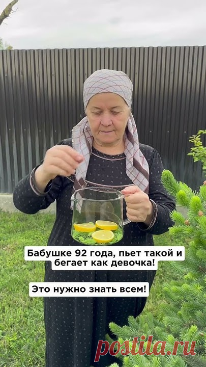 12 мая 2024 г.