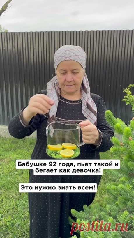 12 мая 2024 г.