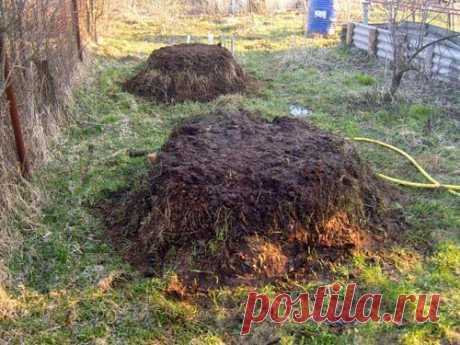 Пырей работает на урожай