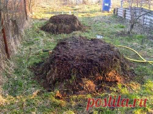 Пырей работает на урожай