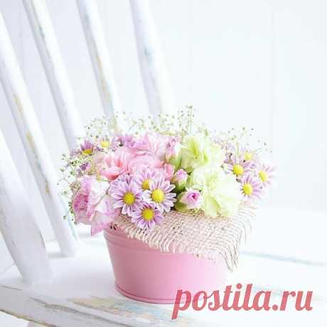 Доброе летнее утро 

#Цветочное_настроение
#Вдохновение
#Вдохновение_цветом