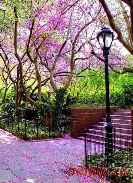 Мой Мир@Mail.Ru