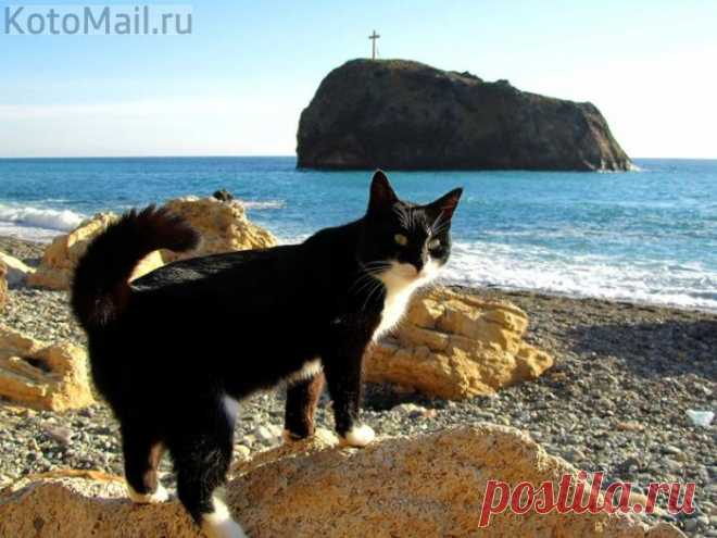 У самого синего моря
