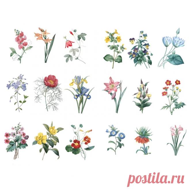 1 шт. винтажные листья цветы Precut Декор скрапбук пуля журнал канцелярские наклейки s Симпатичные ручной работы эстетические наклейки пакет канцелярия наклейки стикеры канцтовары милые вещи на AliExpress Смотри, что есть на AliExpress! И еще более 200 миллионов товаров со всего мира с возможностью поиска по фото и большими скидками. Погрузись в увлекательный мир шопинга без границ!