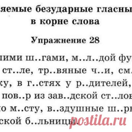 Учитель начальной школы