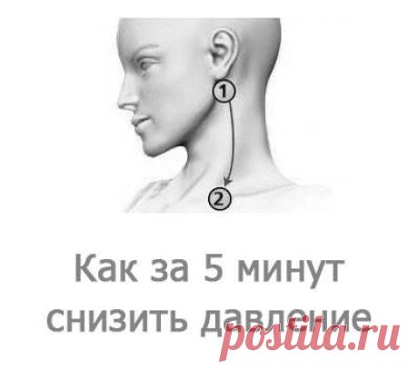 Тайны традиционной китайской медицины Как за пять минут понизить давление