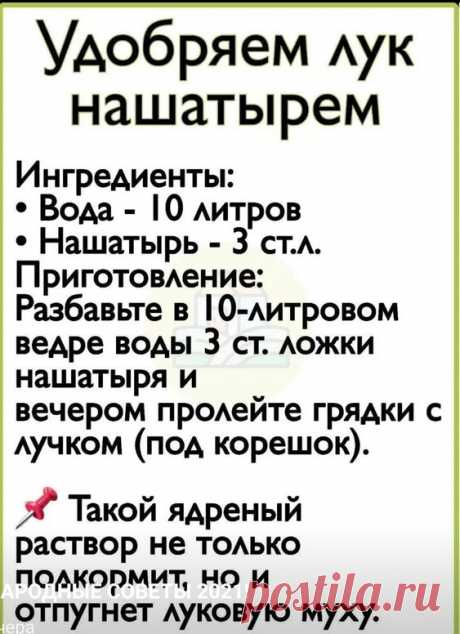 (998) Pinterest
