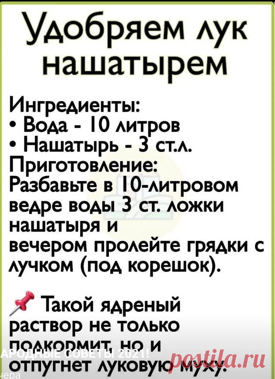 (998) Pinterest