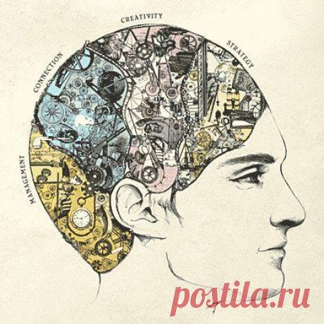 Как развить оба полушария мозга - Народные приметы