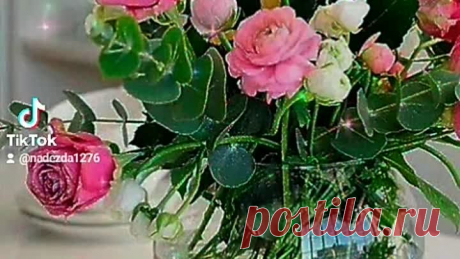 261a6eeb95d043713de10d193420ff62.mp4