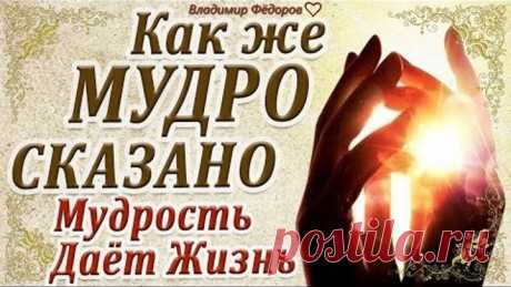"Как же Мудро Сказано" Мудрость Даёт Жизнь (Часть 8)