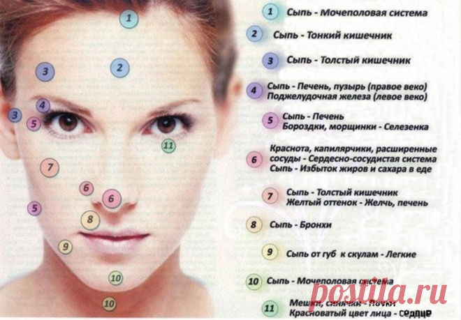 Узнайте, как ваше лицо может выявить, какая часть вашего тела не здорова, и что с этим делать! - Упражнения и похудение Картография лица! Древние китайские целители не полагались на сложные машины для обнаружения болезней — на самом деле они научились читать лицо и распознавать признаки почти любого состояния. Например, они полагали, что любая проблема с кожей (покраснение, сухость кожи, угри) напрямую вызвана проблемой с вашими органами, так как все органы в организме вза...