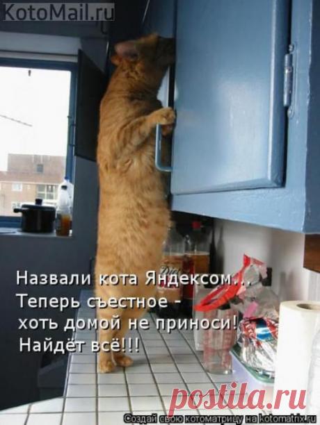 Поисковик Яндекс. | KotoMail.ru