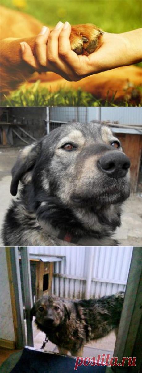 Про Люську и дождик