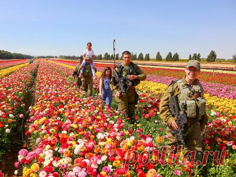 Fwd: В 3 км от гpaницы с сектором Газы... - oberon_e@inbox.ru - Почта Mail.Ru