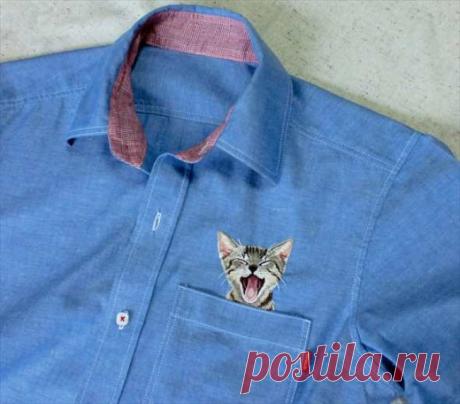 Vestir el gato