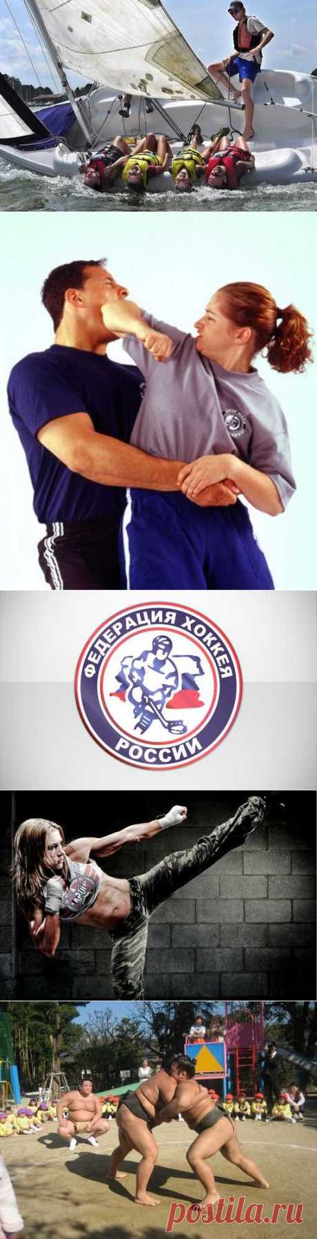 Хапкидо, Черлидинг, Самбо, Керлинг. (1/1) - Спортивный форум. - Спортивный сайт