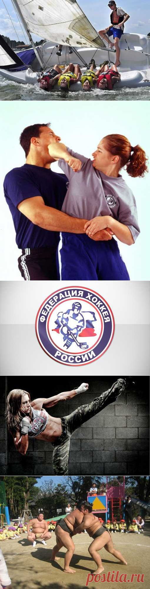 Хапкидо, Черлидинг, Самбо, Керлинг. (1/1) - Спортивный форум. - Спортивный сайт