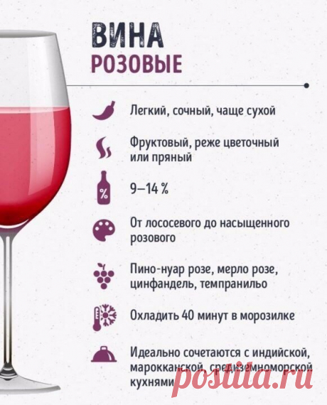 Шпаргалки для тех, кто любит вино — Кулинарная книга - рецепты с фото