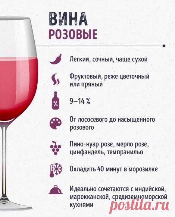 Шпаргалки для тех, кто любит вино — Кулинарная книга - рецепты с фото