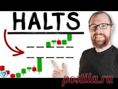 Trading Halts Explained (Common Halt Reasons &amp; Resumption Times)
