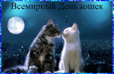 С днем кошек Вас я поздравляю,
Жить в нежности Вам пожелаю.
Чтобы пушистые комочки
Катали по полу клубочки.