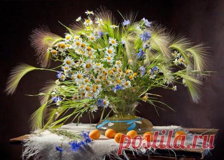 Вера Карелина – Google+