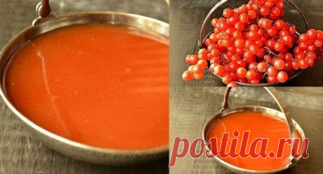 Какие сидераты сеять осенью?