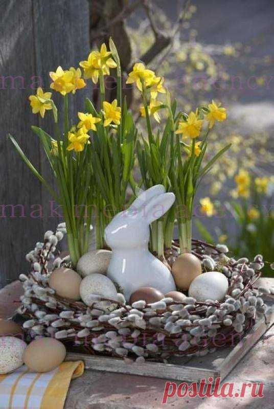 (7) Facebook