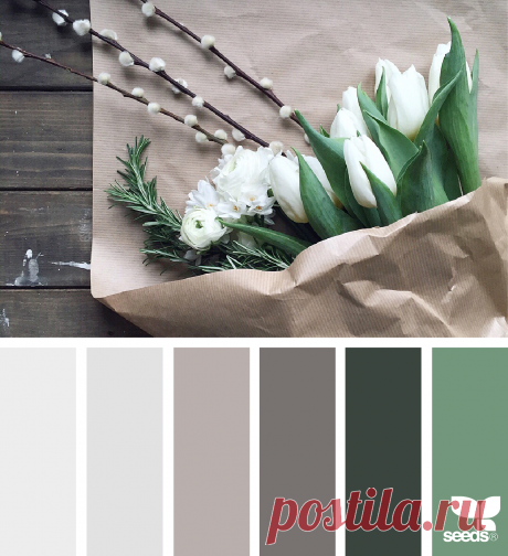 design seeds | for all who ♥ color