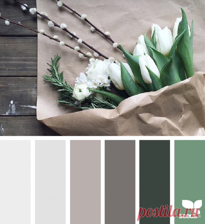 design seeds | for all who ♥ color