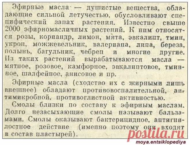 Эфирные масла. Смолы.