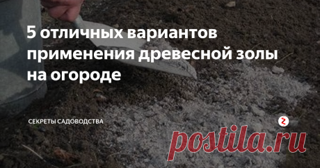 5 отличных вариантов применения древесной золы на огороде 
Скажу сразу: древесная зола — моё любимое народное средство в работе на огороде. Я пользуюсь ей почти каждый год и порой в достаточно неожиданных ситуациях :) Расскажу о 5 самых полезных способов использования древесной золы на даче и участке. Буду рада, если они понравятся и будут актуальны для Вас!
1. При помощи з