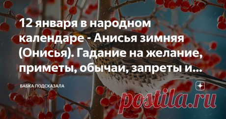 12 января в народном календаре - Анисья зимняя (Онисья). Гадание на желание, приметы, обычаи, запреты и поверья дня Какой праздник отмечается 12 января в народном календаре. Анисья зимняя, Онисья. Народные приметы и поверья 12 января. По народной традиции, в день Анисьи хозяюшки начинали готовить различные блюда из свинины к предстоящему Васильеву вечеру (13 января). А 14 января отмечали Васильев день (Старый Новый год). Также обязательно на праздничном столе должен был бы...