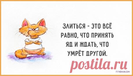 Одной фразой