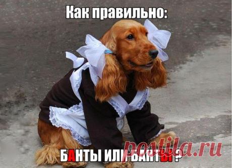 Стена