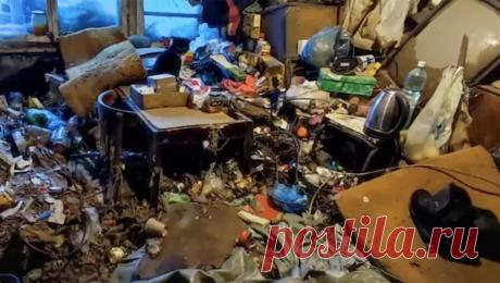 Россиянин с инвалидностью 32 года жил в замусоренной квартире в окружении 29 кошек. В Томске благодаря волонтерам-зоозащитникам из захламленной квартиры спасли мужчину-инвалида, который жил в окружений 29 кошек. Об этом сообщает Telegram-канал Mash Siberia. 42-летний житель Томска более 30 лет прожил в замусоренной ...
