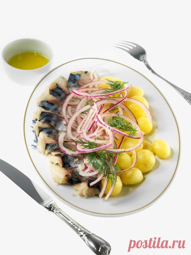 Слабосоленая скумбрия рецепт – закуски