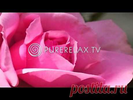 Health, Spa &amp;amp; Wellness - Yoga Music, Spiritual, Heal &amp;amp; Energy - THINK POSITIVE - YouTube