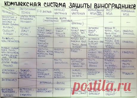 Схема обработки виноградных кустов от Агромагазина Фазенда.
