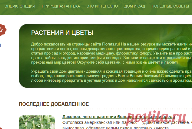 Растения и цветы. Энциклопедия растений и названия. Основы декоративного цветоводства. Florets.ru