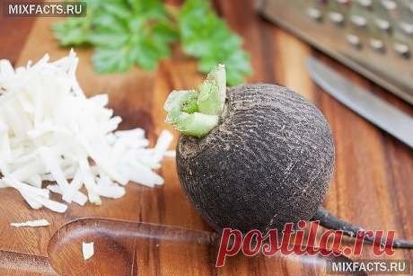 ПОЛЬЗА ЧЕРНОЙ РЕДЬКИ ДЛЯ СЕРДЦА И СОСУДОВ:

Из-за повышенного содержания солей калия черную редьку рекомендуют употреблять людям с гипертонией и проблемными сосудами. Редька содержит вещества, чистящие сосуды и выводящие  избыточный холестерин.

Для профилактики атеросклероза принимают по 2 ст.л. сока черной редьки трижды в день. Для улучшения вкуса сок подслащивают медом.

Также при аритмии советуют принимать сок редьки 3 р. в день по 1 ст.л.