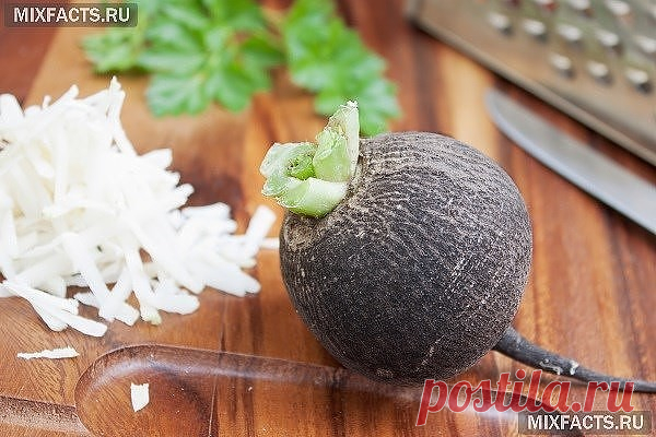 ПОЛЬЗА ЧЕРНОЙ РЕДЬКИ ДЛЯ СЕРДЦА И СОСУДОВ:

Из-за повышенного содержания солей калия черную редьку рекомендуют употреблять людям с гипертонией и проблемными сосудами. Редька содержит вещества, чистящие сосуды и выводящие  избыточный холестерин.

Для профилактики атеросклероза принимают по 2 ст.л. сока черной редьки трижды в день. Для улучшения вкуса сок подслащивают медом.

Также при аритмии советуют принимать сок редьки 3 р. в день по 1 ст.л.