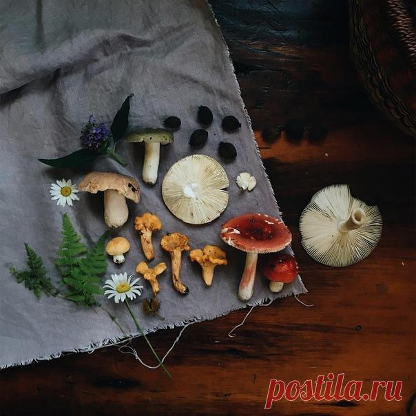 Сентябрь.

Это Бунин и «Антоновские яблоки». Это облака - рыбы, робкое солнце и утренний дождь. Это запах мёда, старых книг и яблок.

Сентябрь янтарный, сияющий и тёплый. Бесконечно живописный, с легкостью дневной прохлады и терпкостью вечера.

Это тишина утренних часов и бесконечная тишина души. Это клён, тополь да осина. Это — огромное сердце, полное любви.

Сентябрь. Мне снова хочется признаться тебе в любви...

Я люблю тебя.

— Виктория Дорн.