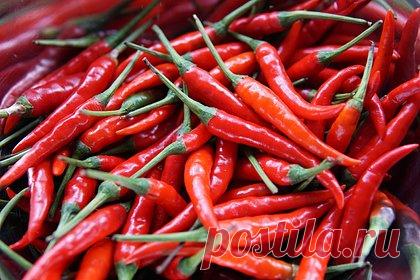 Эффективность популярного средства для улучшения секса оценили. Бьюти-эксперт Евгения Чумаченко оценила эффективность эфирных масел для улучшения сексуальной жизни. По ее словам, некоторые разновидности этого популярного средства действительно могут положительно повлиять на уровень возбуждения. Однако эксперт рекомендовала при проблемах с эрекцией и либидо обратиться к врачу.