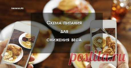 .Здоровая схема питания для тех, кто хочет снизить свой вес.