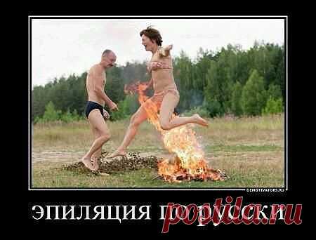 (62) Одноклассники